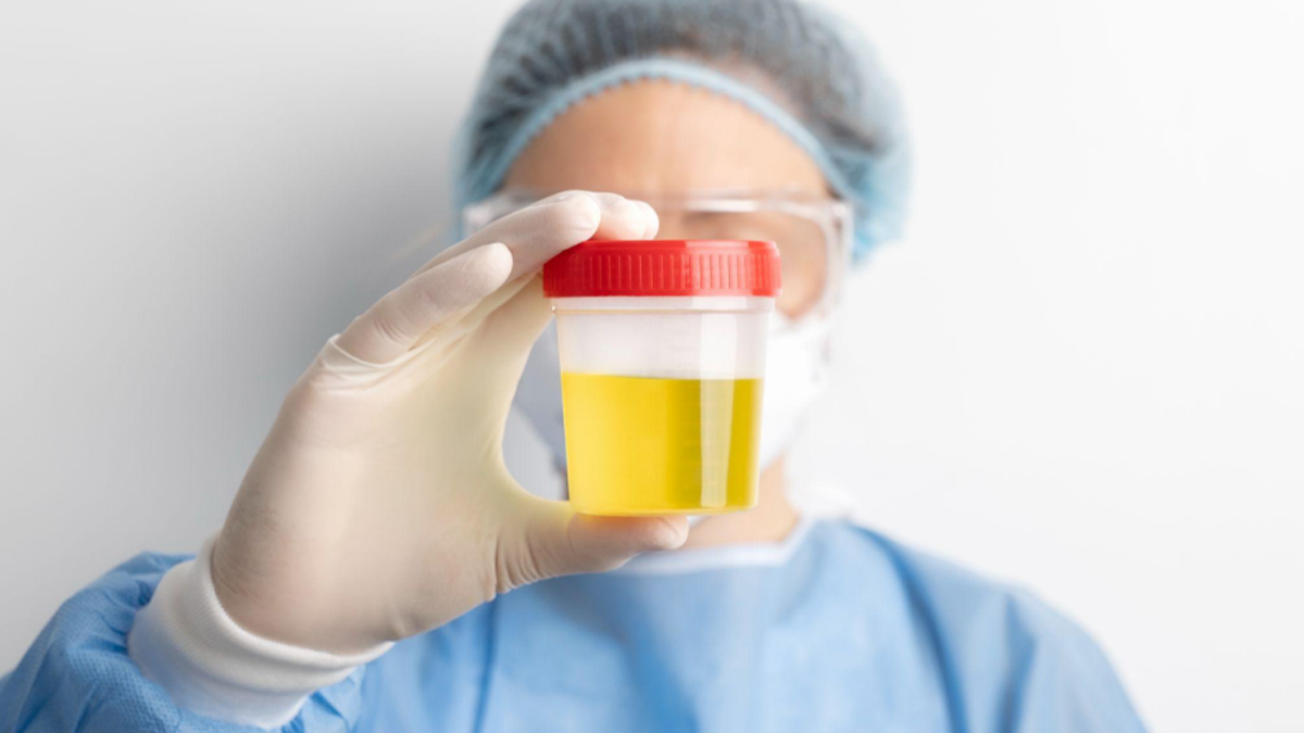 synthetic urine for drug test 