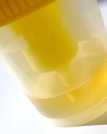 best synthetic urine